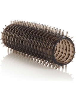 CALEXOTICS - COLT...