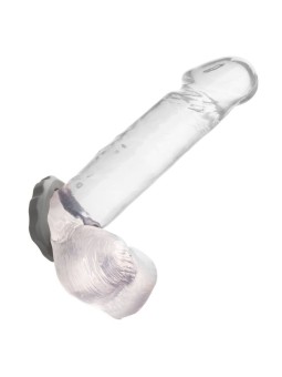 CALEXOTICS - ALPHA ERECT...