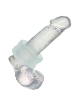 CALEXOTICS - BOUNDLESS...