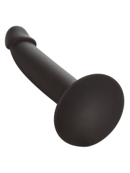 CALEXOTICS - SLIM ANAL STUD