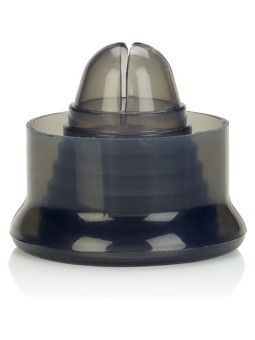 CALEXOTICS - MANGA DE...