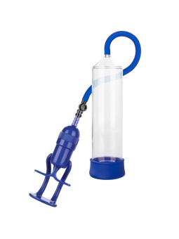 CALEXOTICS - ADMIRAL...