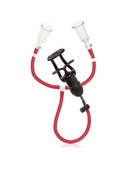 CALEXOTICS - COLT MUSCLE...