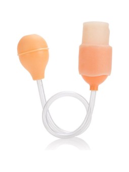 CALEXOTICS - ORIGINAL ORO...