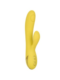 CALEXOTICS - SAN DIEGO...