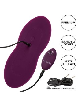 CALEXOTICS - REMOTE CONTROL...