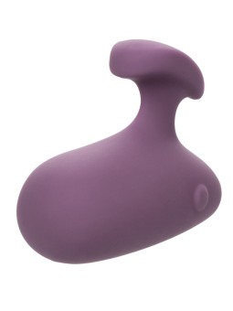 CALEXOTICS - MOD TOUCH...