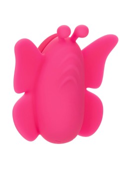 CALEXOTICS - NEON VIBES THE...