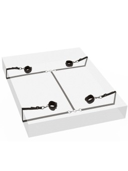 CALEXOTICS - BOUNDLESS RED...