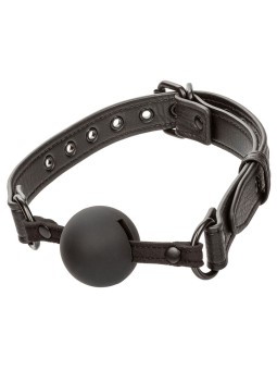CALEXOTICS - NOCTURNAL BALL...