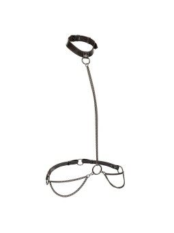 CALEXOTICS - EUPHORIA...