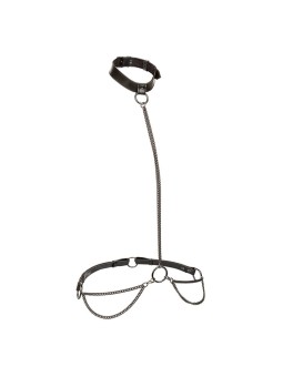 CALEXOTICS - EUPHORIA...