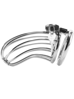 METAL HARD - BIRD CHASTITY...
