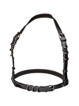 CALEXOTICS - EUPHORIA ARNÉS...