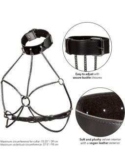 CALEXOTICS - EUPHORIA ARNÉS...