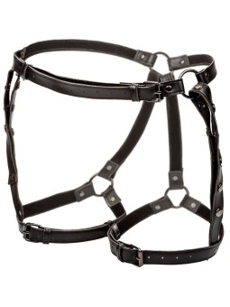 CALEXOTICS - EUPHORIA ARNÉS...