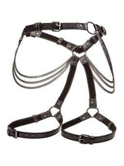 CALEXOTICS - EUPHORIA ARNÉS...