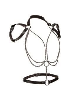 CALEXOTICS - EUPHORIA ARNÉS...