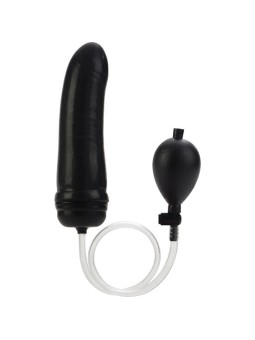 CALEXOTICS - COLT PLUG ANAL...