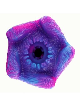 EPIC - THETIS MASTURBADOR...