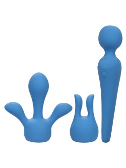 CALEXOTICS - COUTURE KIT...