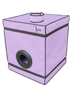 SECRET DOME - KINK CLUB...