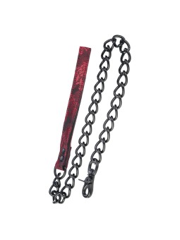 CALEXOTICS - SCANDAL CORREA...