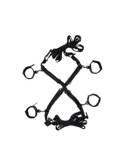 CALEXOTICS - SCANDAL SET DE...