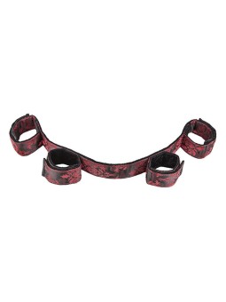 CALEXOTICS - SCANDAL BARRA...