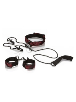 CALEXOTICS - SCANDAL...