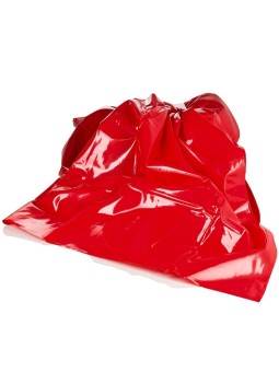 CALEXOTICS - SCANDAL SÁBANA...