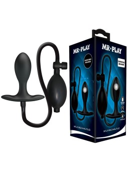 MR PLAY - PLUG ANAL...