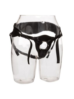 CALEXOTICS - HERE ROYAL...