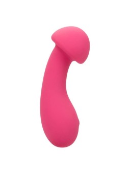CALEXOTICS - PIXIES EXCITER...